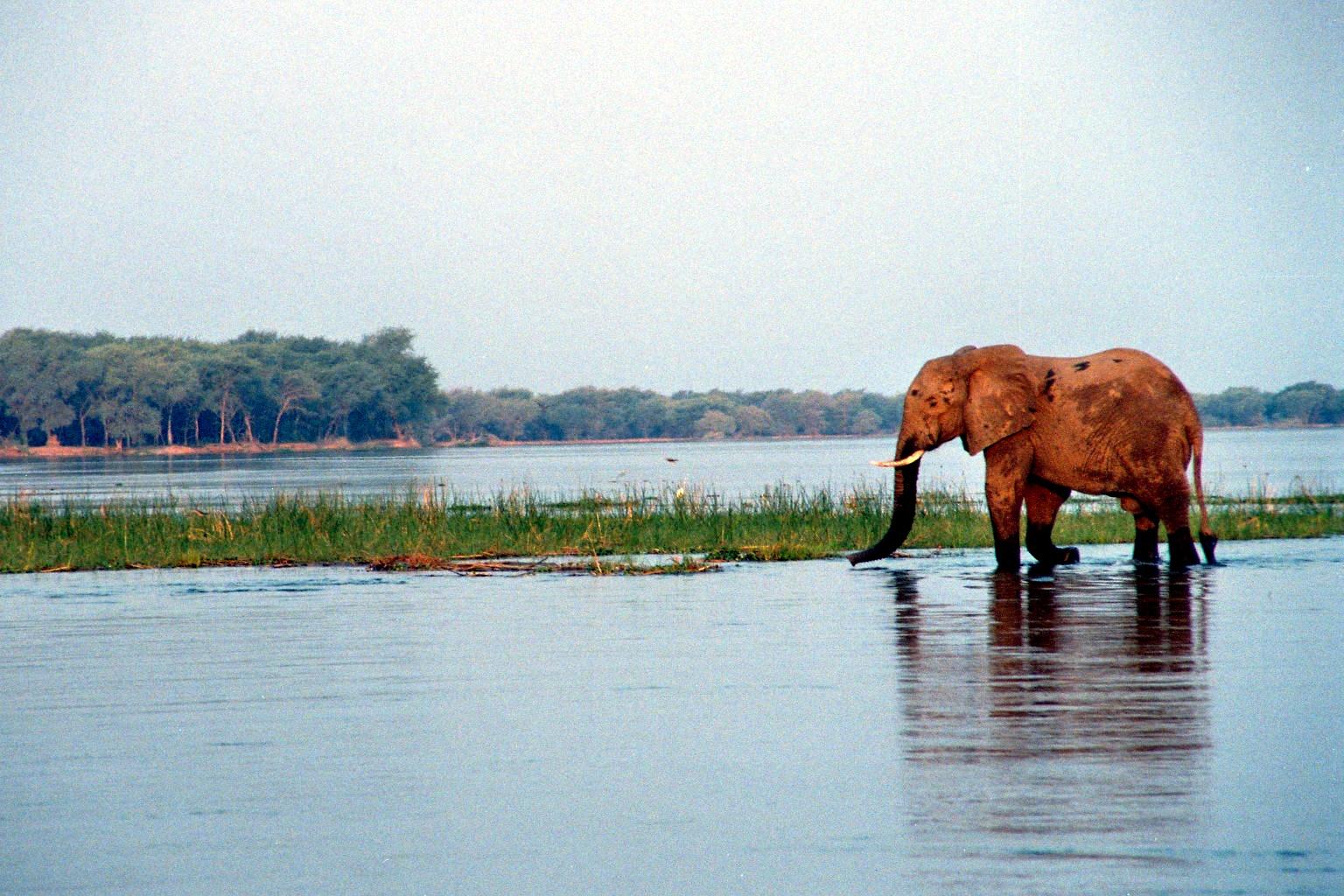 Zambian Safari: Paddling the Zambezi