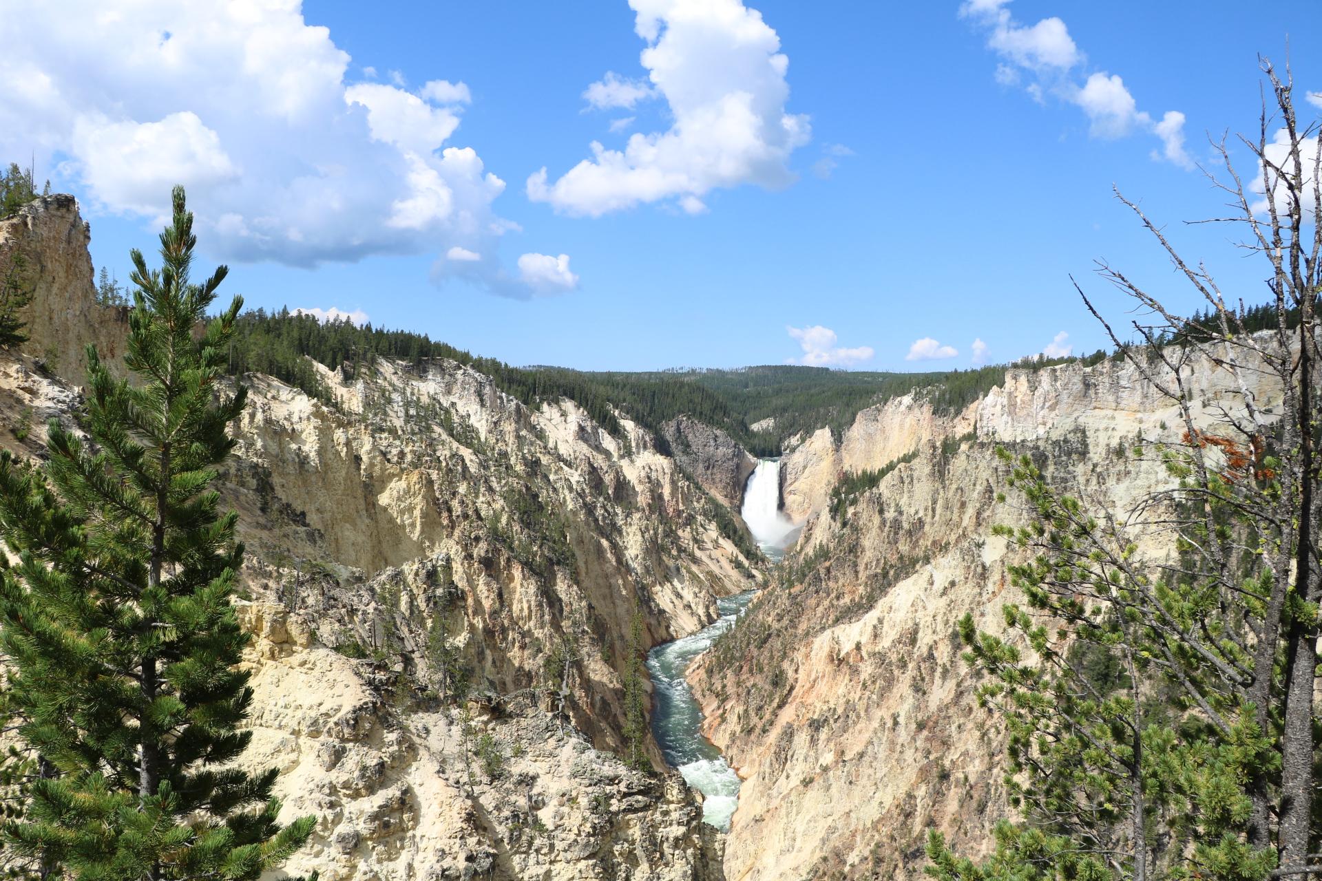 How to Avoid Disaster and Fall in Love Camping in Yellowstone with Kids